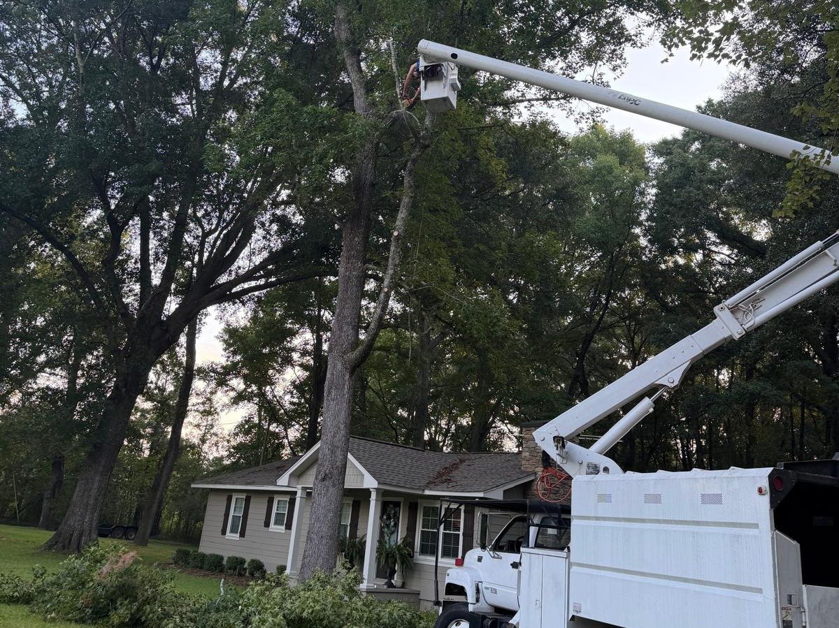 El Costeño Tree Service LLC
